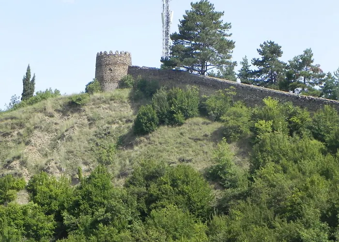 Sighnaghi Hotel Fence Door&Сигнахи Отель Ворота Крепости&Სიღნაღი Სასტუმრო Გალავნის Კარი
