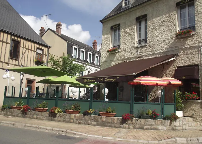 Le Sauvage