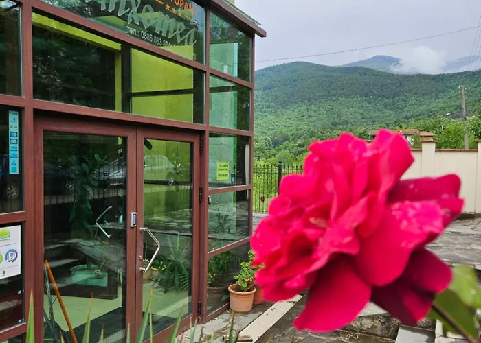Family Hotel Komhotel