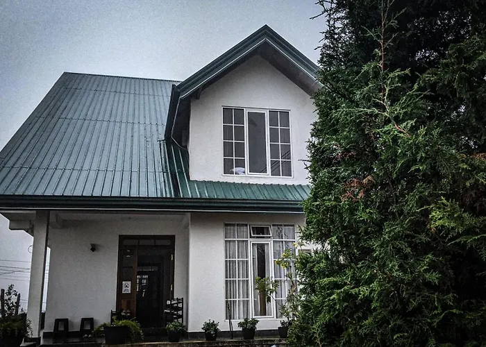 The Mount View Single Tree Hotel