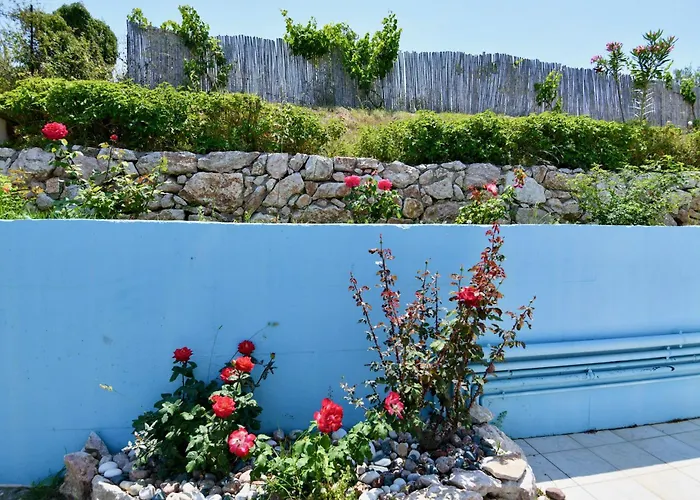 Summer View