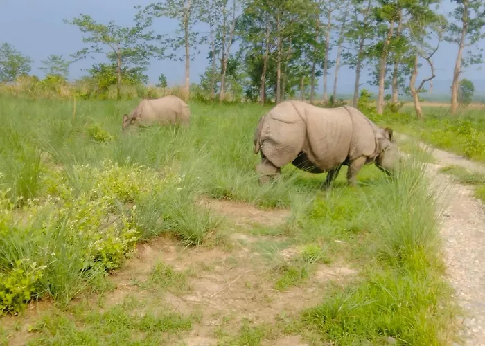 Hotel Tiger Tops Sauraha