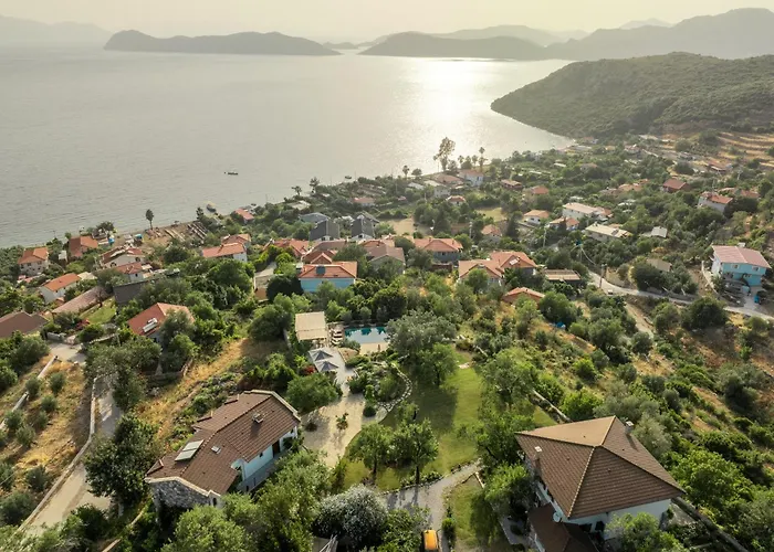 Bademli Bahçe Söğüt