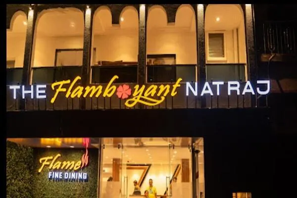 The Flamboyant Natraj