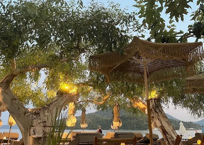 Eva Beach Hotel Lefkada