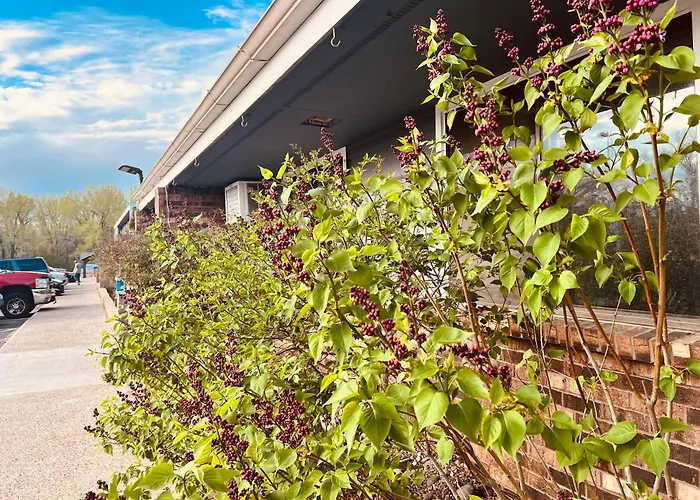 Travelodge By Wyndham Valleyfair Shakopee