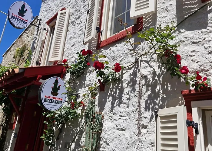 Kaktueshan Otel