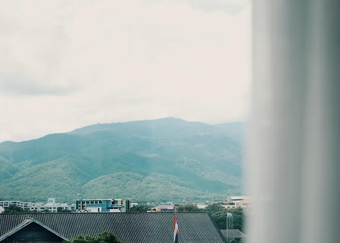 Peppery Hills
