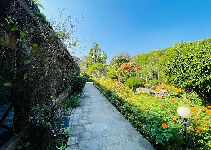 Travellers Jungle Camp-Sauraha