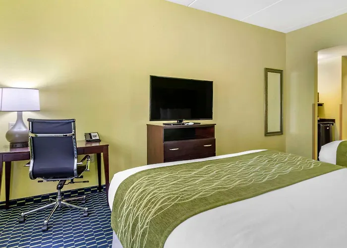 Comfort Inn Athens I - 75