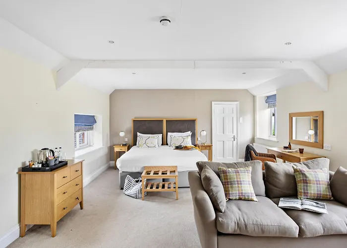 The Mole Resort - Hotel Rooms
