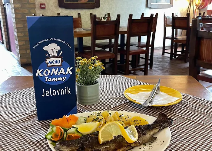 Hotel Konak Tammy Platicevo - Sabac