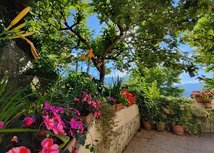 Amoroso'S House, Affittacamere