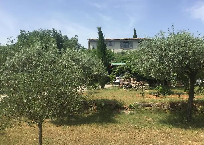 Le MAS du Sud Draguignan