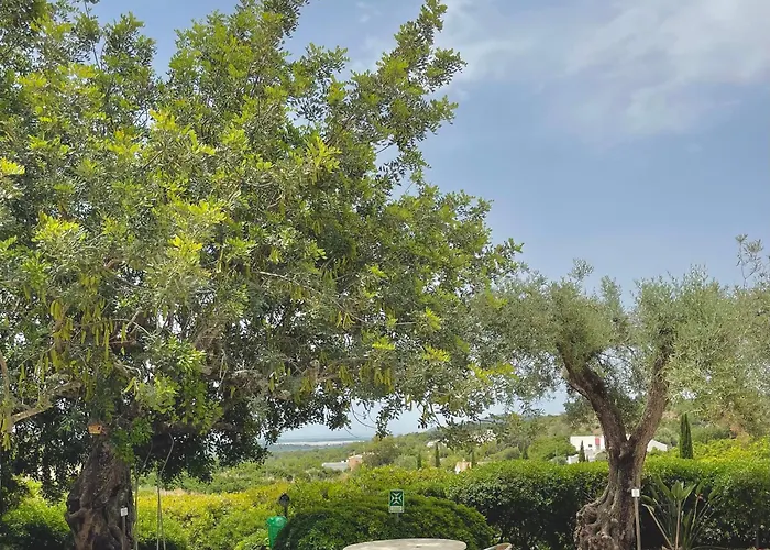 Hotel Rural Quinta do Marco - Nature&Dining