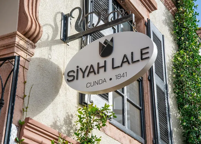 Siyah Lale Cunda 1841 (Adults Only)