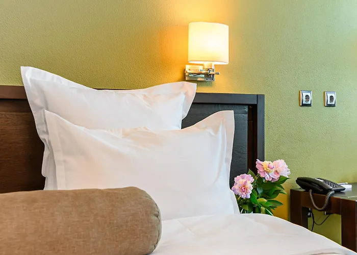 Vega Hotel