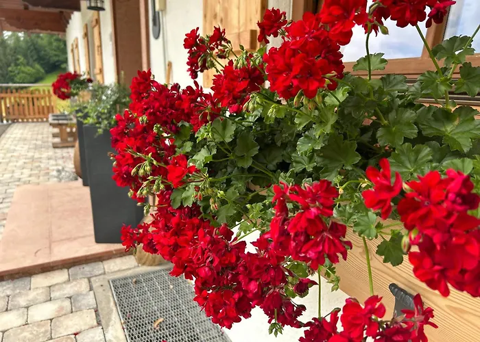 Hotel Auf'm Feggenlehen Ramsau bei Berchtesgaden