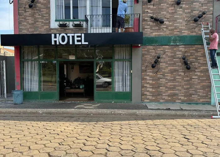 Hotel Formigas na Figueira