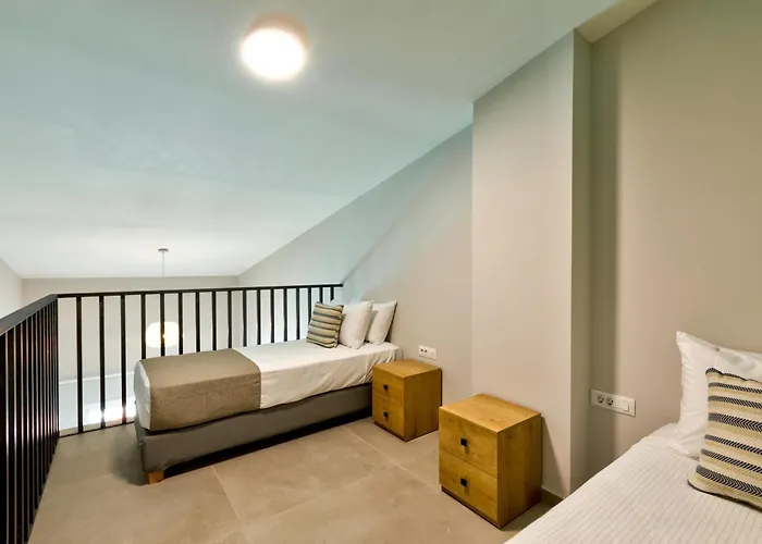 White Olive Premium Laganas