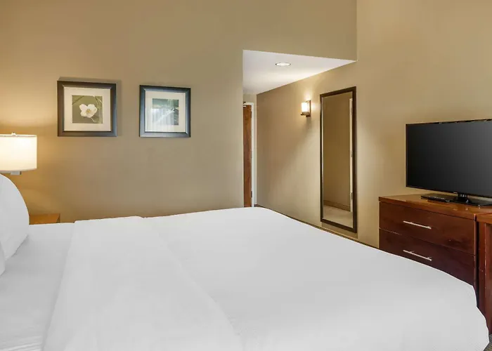 Comfort Inn & Suites At Crossplex Village