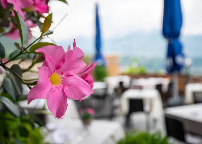 Hotel Residence Mavie