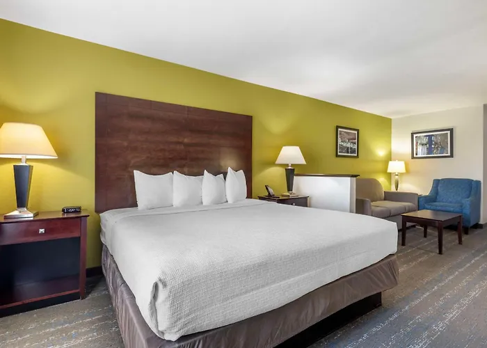 Best Western Plus Mansfield Inn & Suites