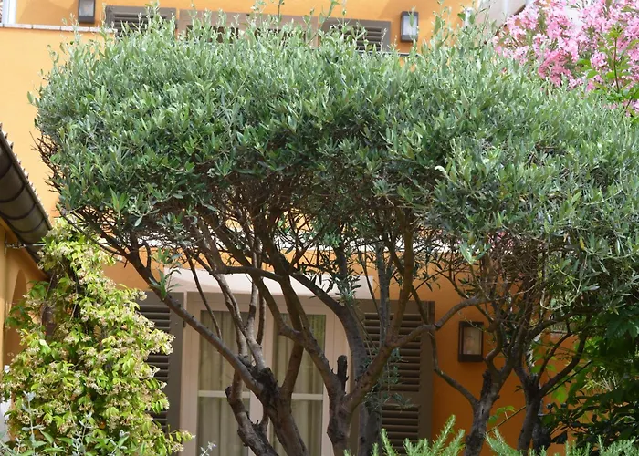 Hotel Le Mouillage à Saint-Tropez