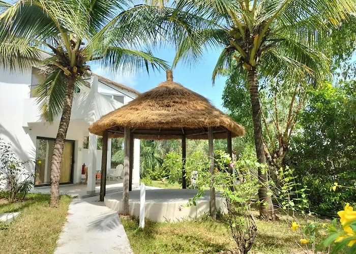 Les Hibiscus