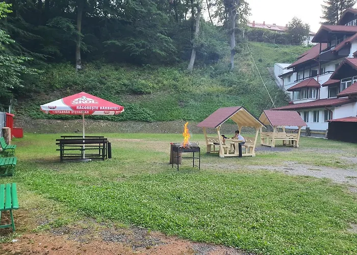 Cristal Sinaia