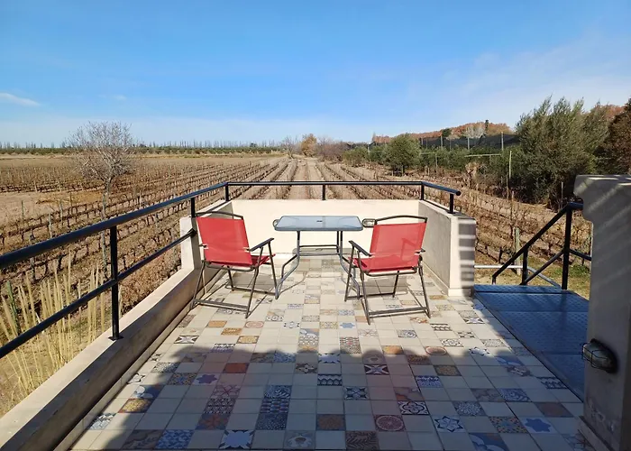 Posada Cavieres Wine Farm