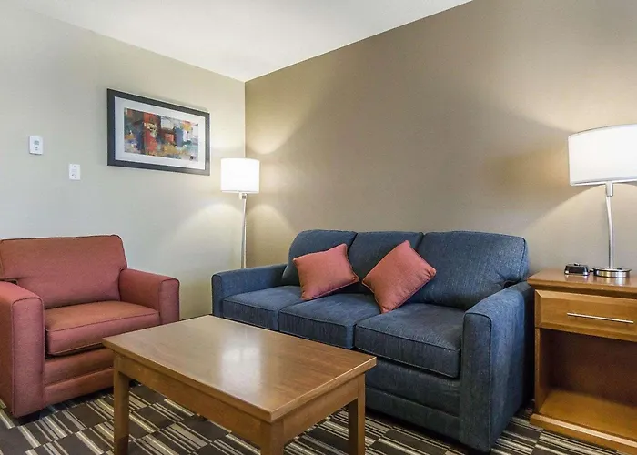 Comfort Inn & Suites Edmonton International Airport