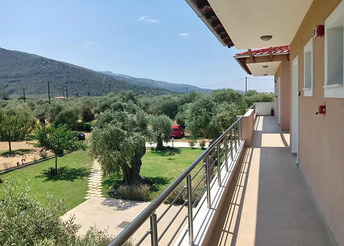 Anatoli Studios