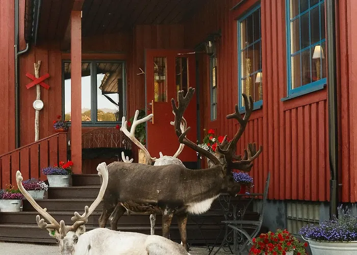 Bruksvallarnas Fjaellhotell