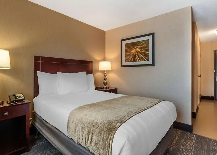 Best Western Braintree Inn