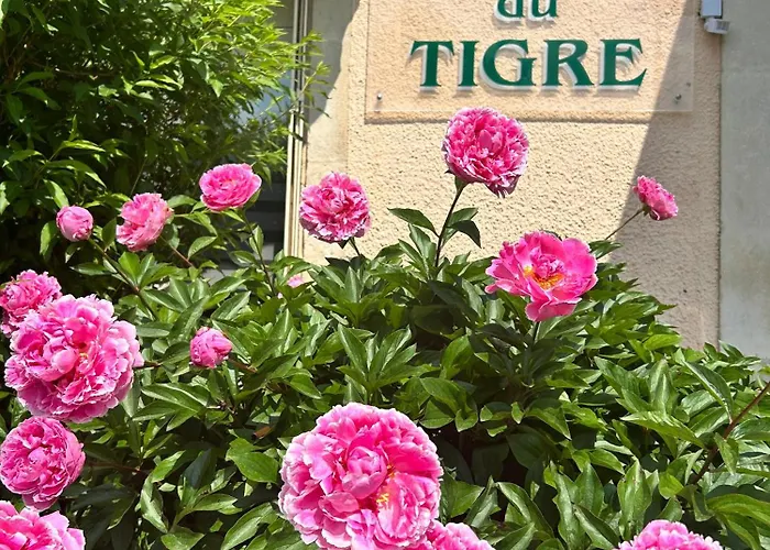 Cit'Hotel Du Tigre