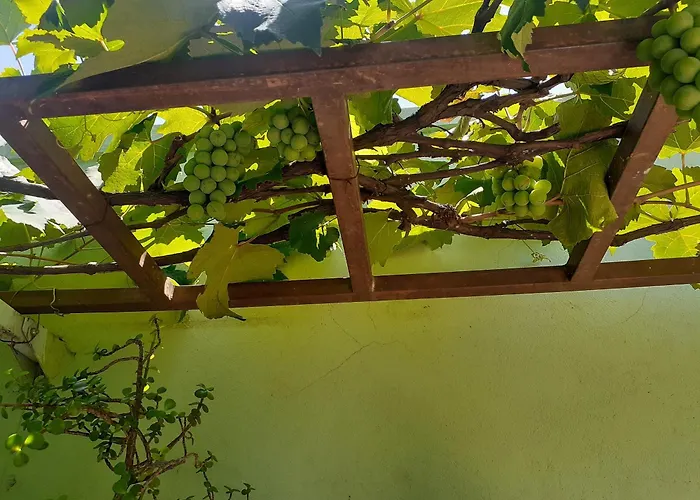 Hotel Vila Solar