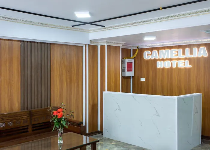 Camellia Hotel Sapa