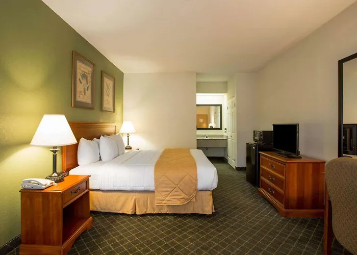 Clarion Inn & Suites Aiken South