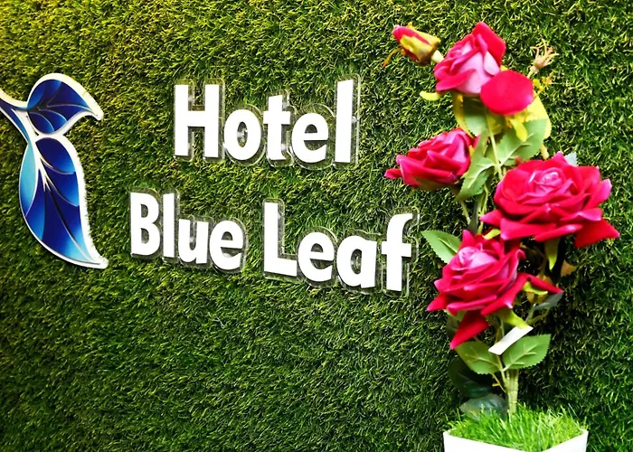 Hotel Blue Leaf