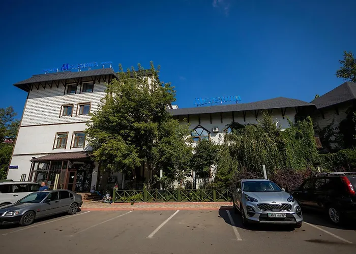 Metelitsa Hotel