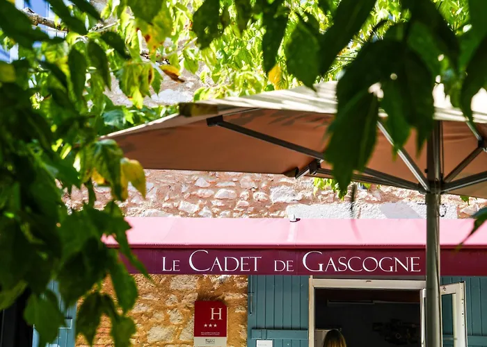 Logis Hotel & Restaurant Le Cadet De Gascogne