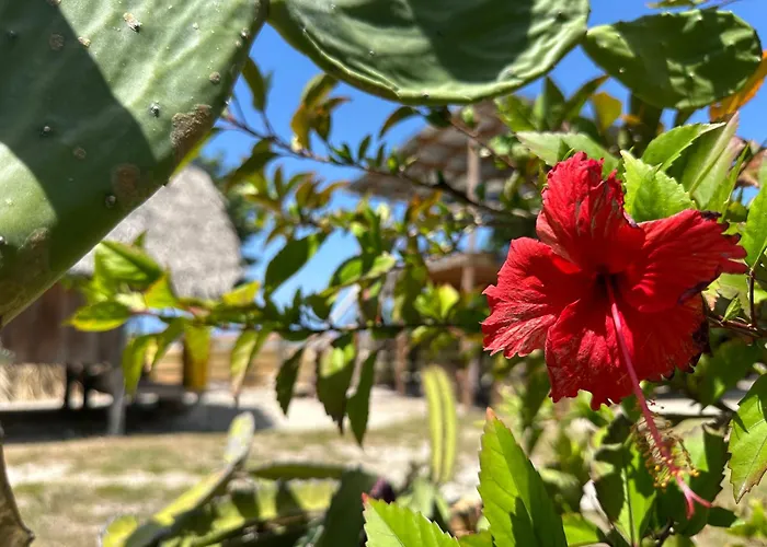 Buen Hombre Kite School With Accommodations