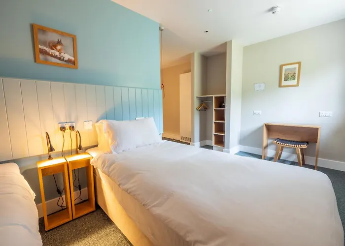 An Spiris Accommodation At Dundreggan Rewilding Centre