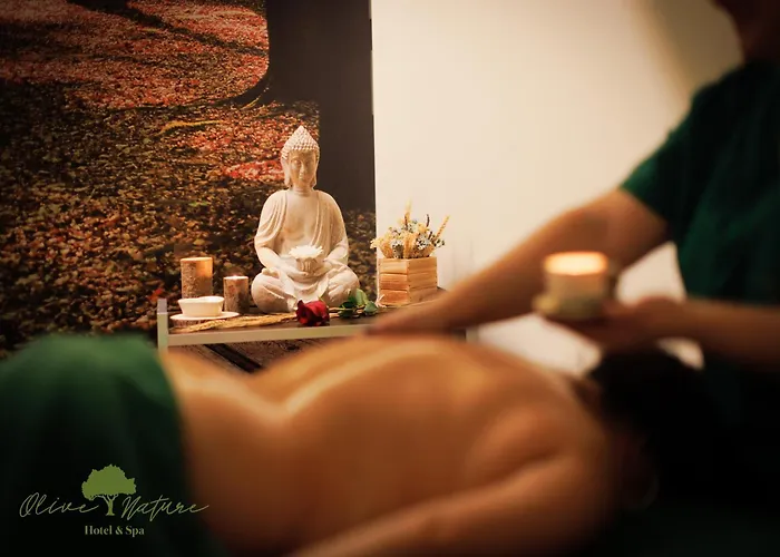 Olive Nature Hotel & Spa - Quinta Valle De Passos