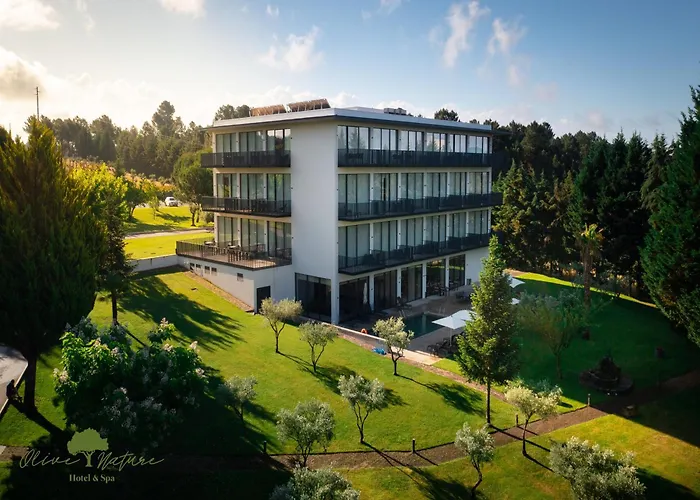 Olive Nature Hotel & Spa - Quinta Valle De Passos