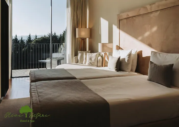 Olive Nature Hotel & Spa - Quinta Valle De Passos