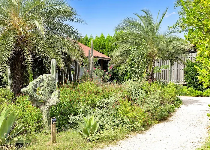 Red Palm Village Kralendijk