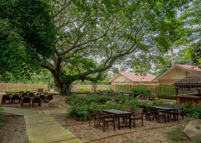 Sirin Farm Chiang Rai