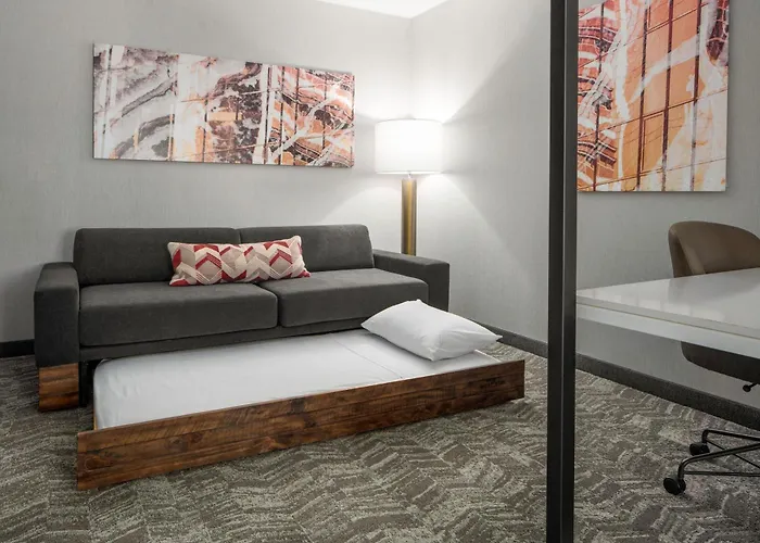 Springhill Suites By Marriott Raleigh Apex